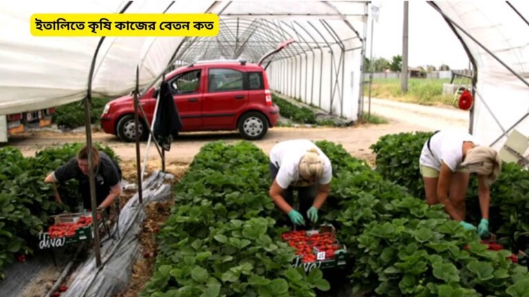 ইতালিতে কৃষি কাজের বেতন কত